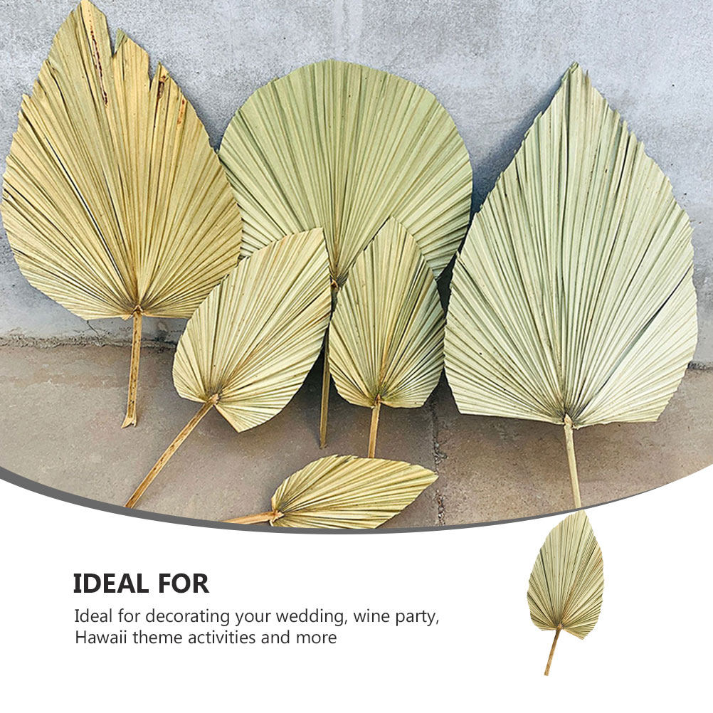 Palm Leaf Dried - 1 szt. Naturalne suszone liście palmowe