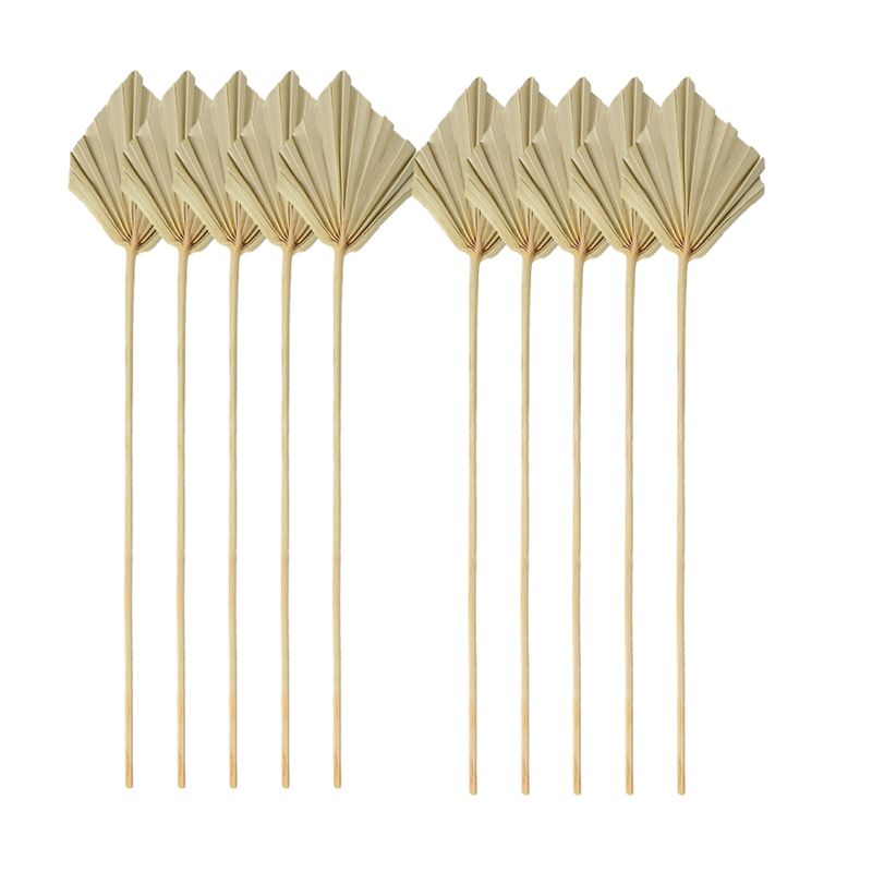 Palm Leaf Dried - A04G – Suszone liście palmowe w
