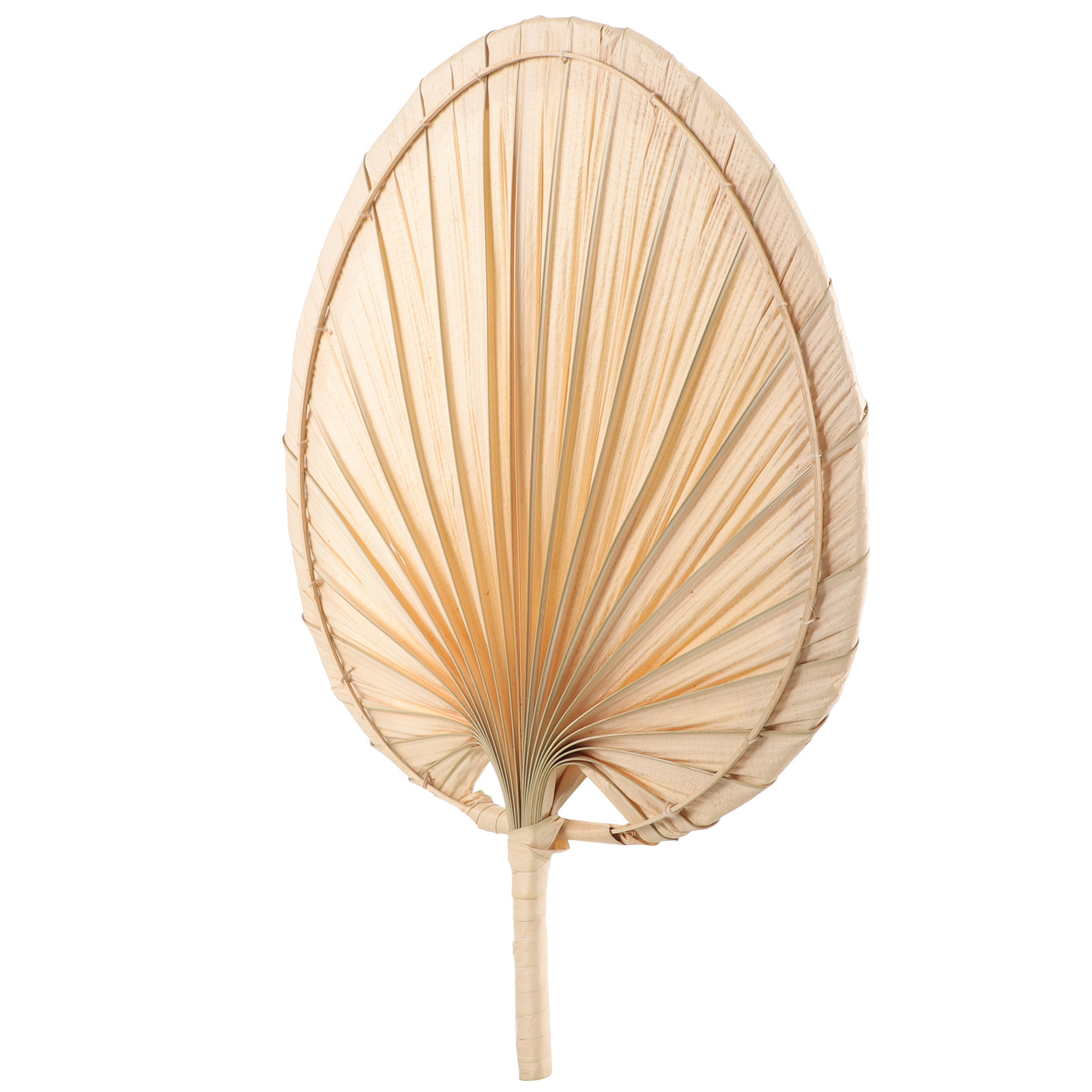 Wachlarz z suszonych liści pal – Palm Leaf Dried recenzja i cena