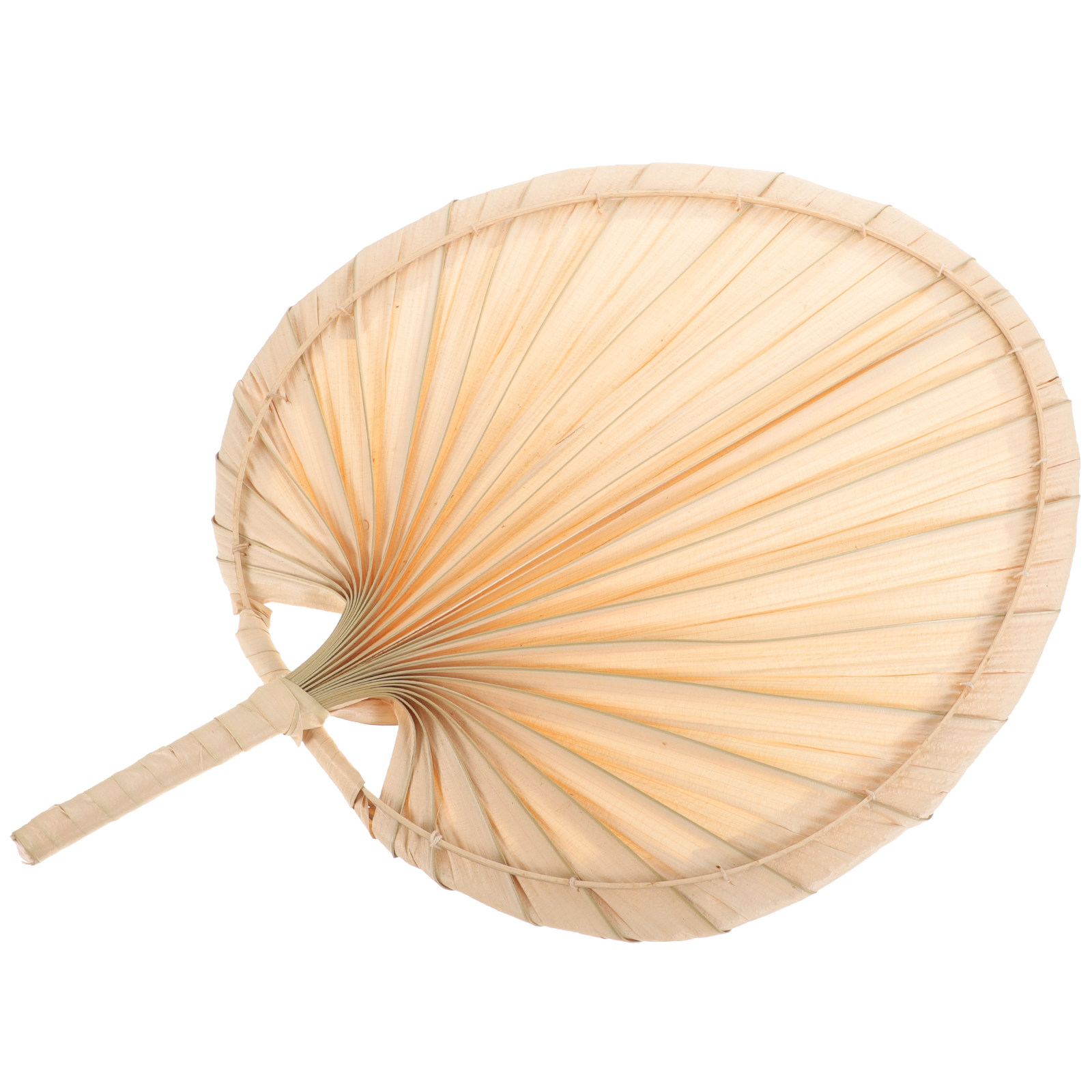 Wachlarz z suszonych liści pal – Palm Leaf Dried recenzja i cena