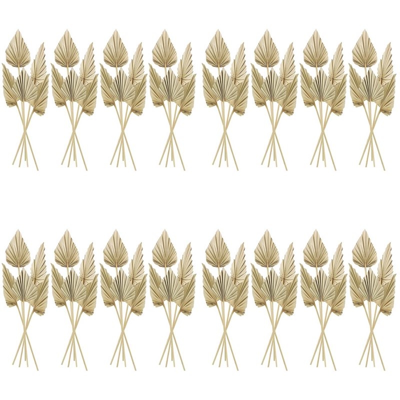 80 sztuk suszonych liści palm  – Palm Leaf Dried recenzja i cena