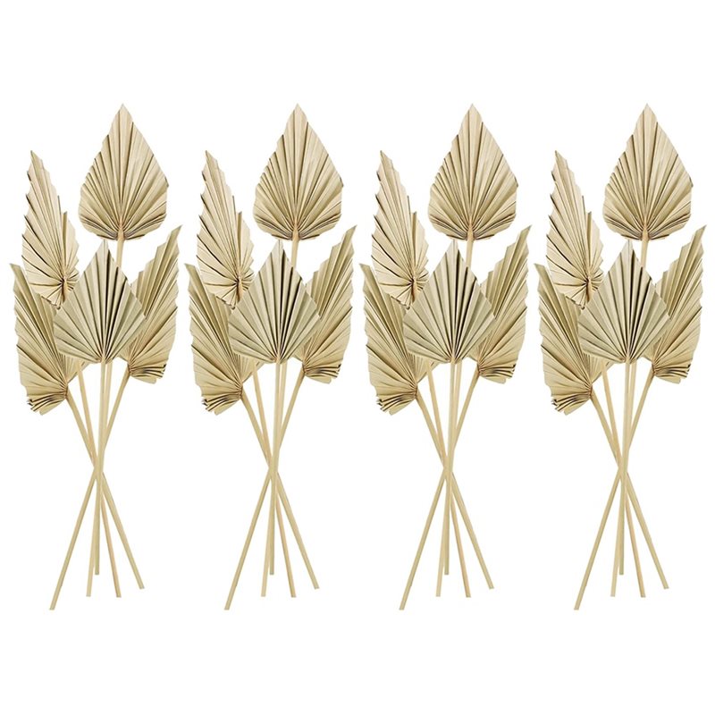 80 sztuk suszonych liści palm  – Palm Leaf Dried recenzja i cena