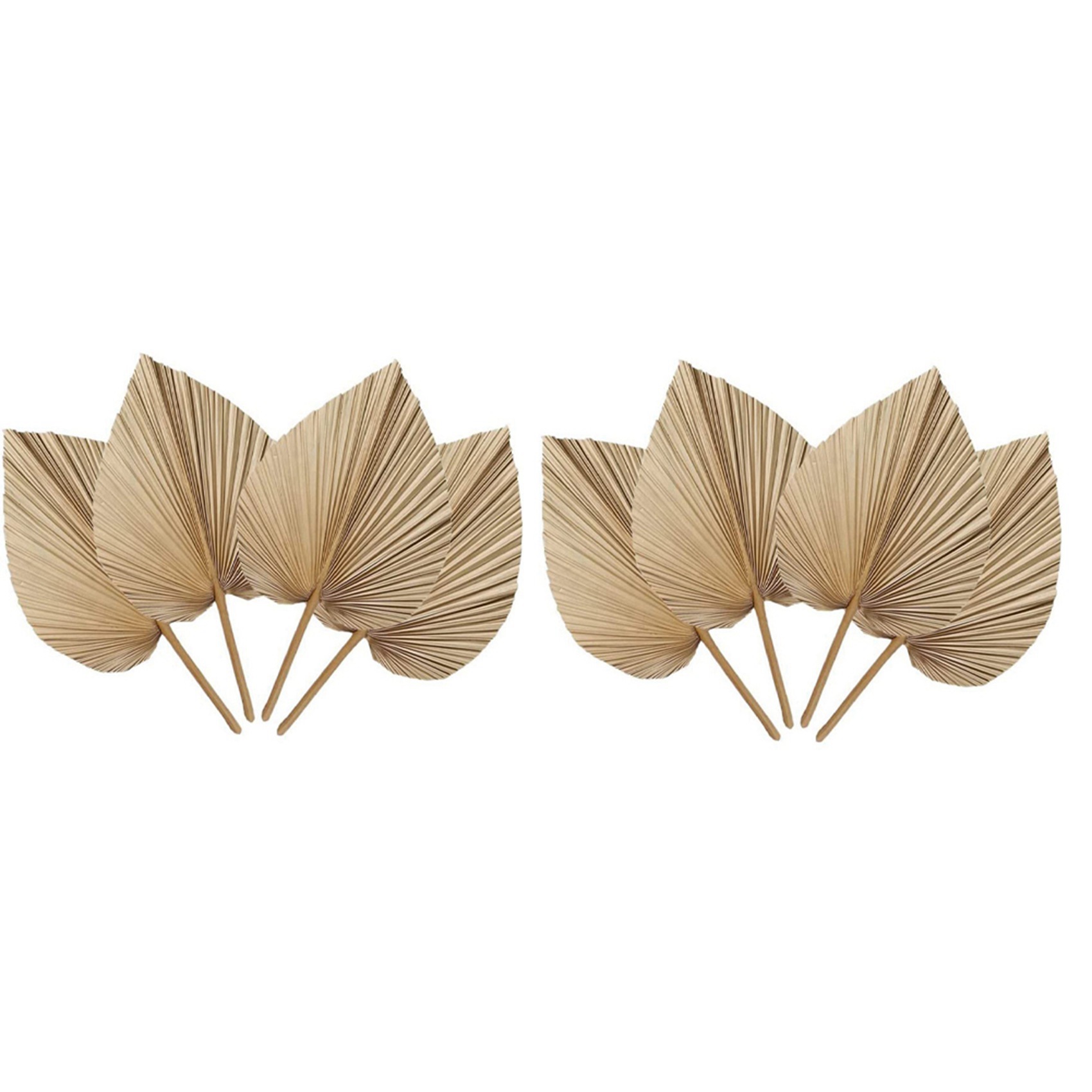 AT02-8 Sztuk Naturalnych Suszo – Palm Leaf Dried recenzja i cena