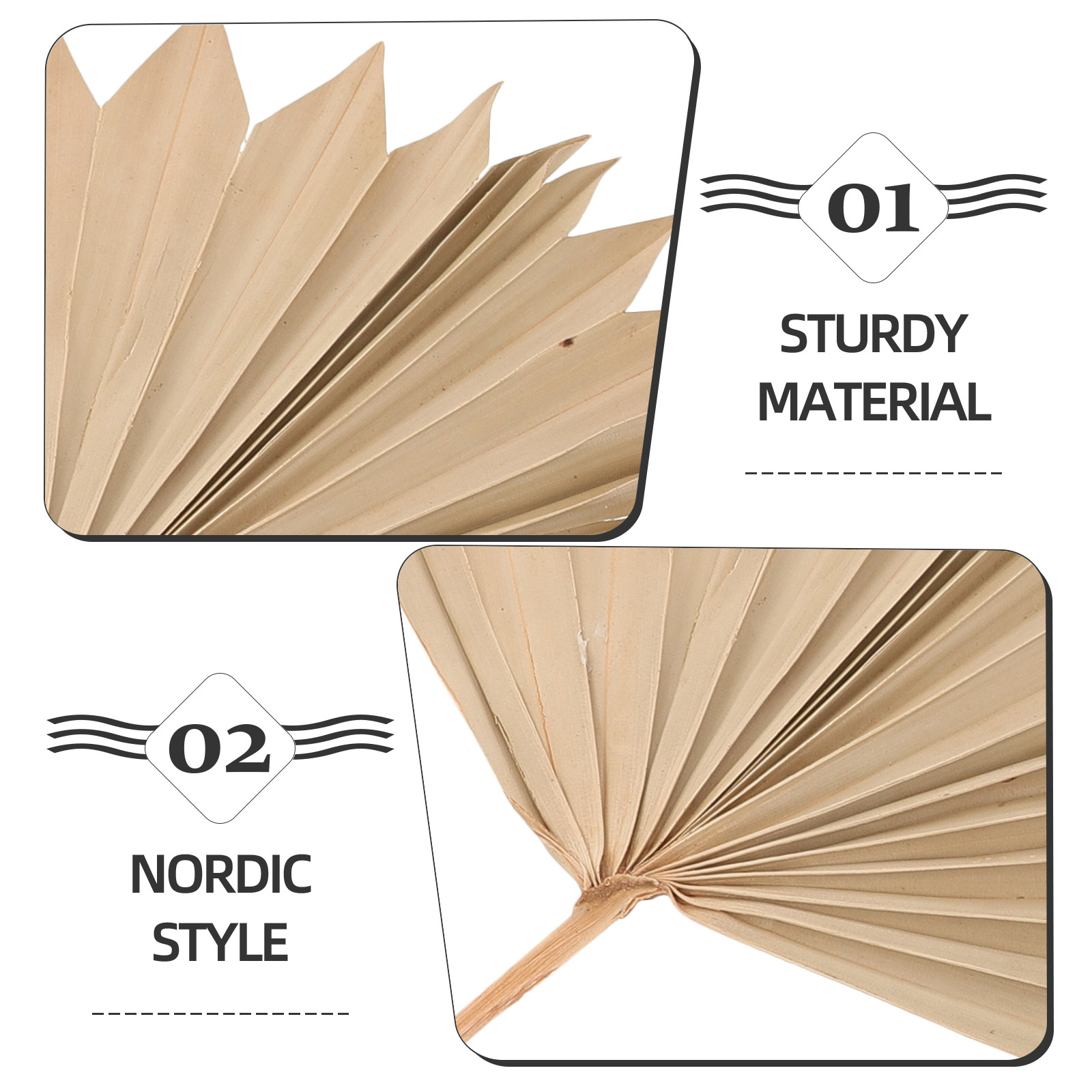 4 sztuki suszonych liści palmo – Palm Leaf Dried recenzja i cena
