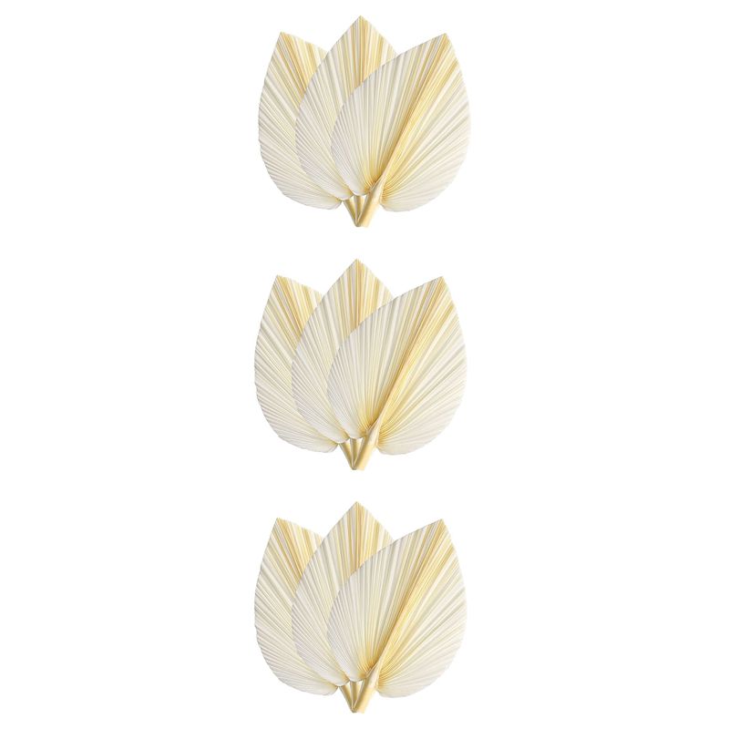 Duże Białe Suszone Liście Palm – Palm Leaf Dried recenzja i cena